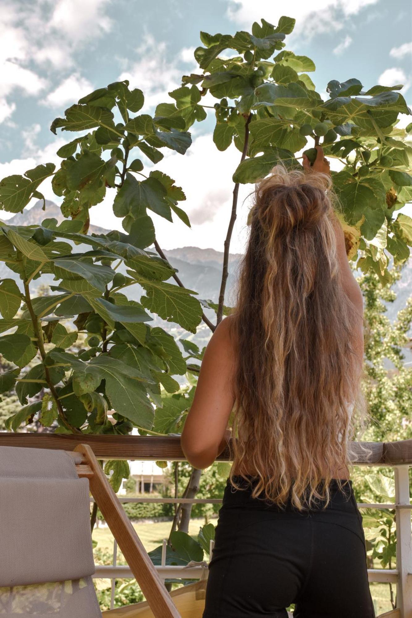Alpimena Natur-Apartments Meran Zewnętrze zdjęcie